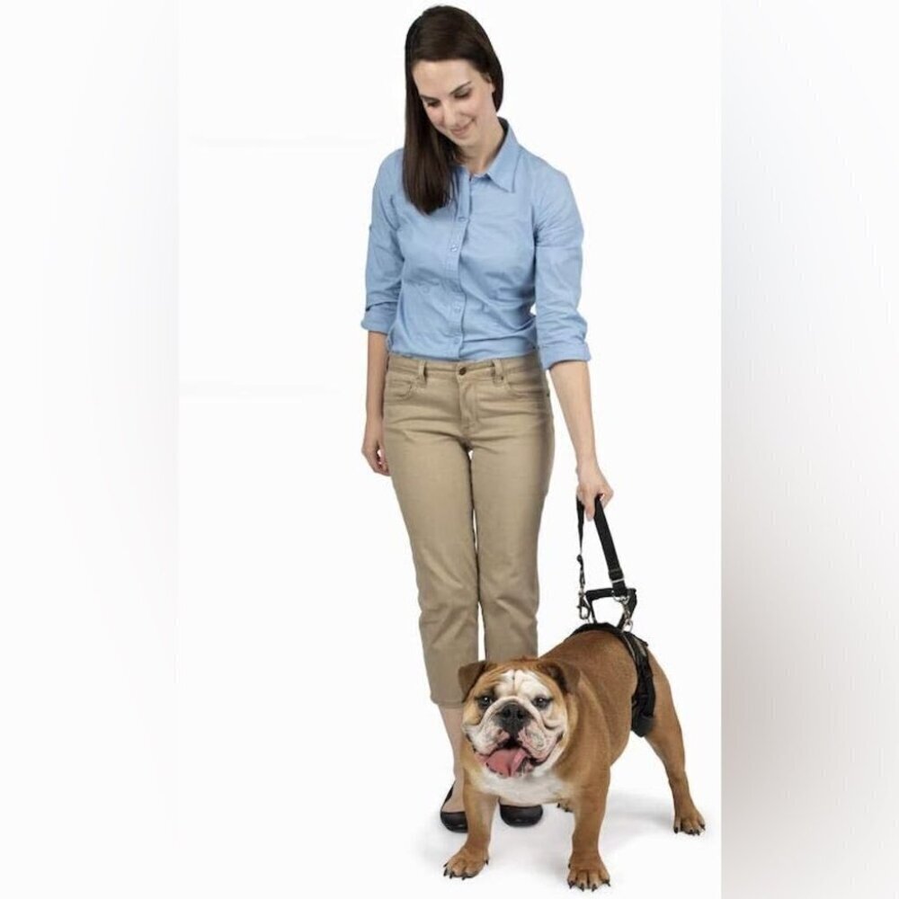 PetSafe CareLift Rear Support Harness Size Medium - Picture 4 of 6